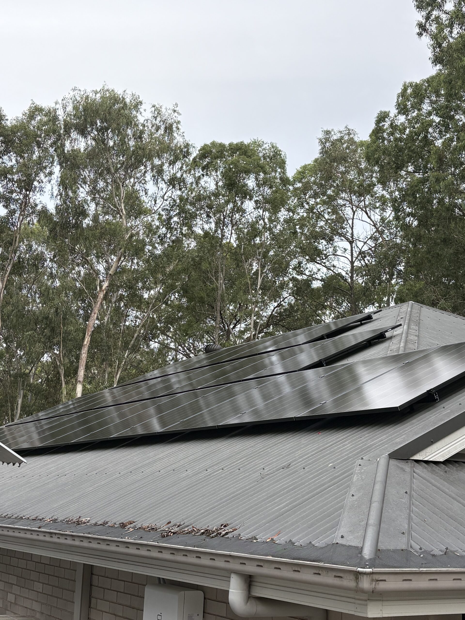 Media 1-30CF76BD-3DA2-4F20-8003-D70B25F01E3E