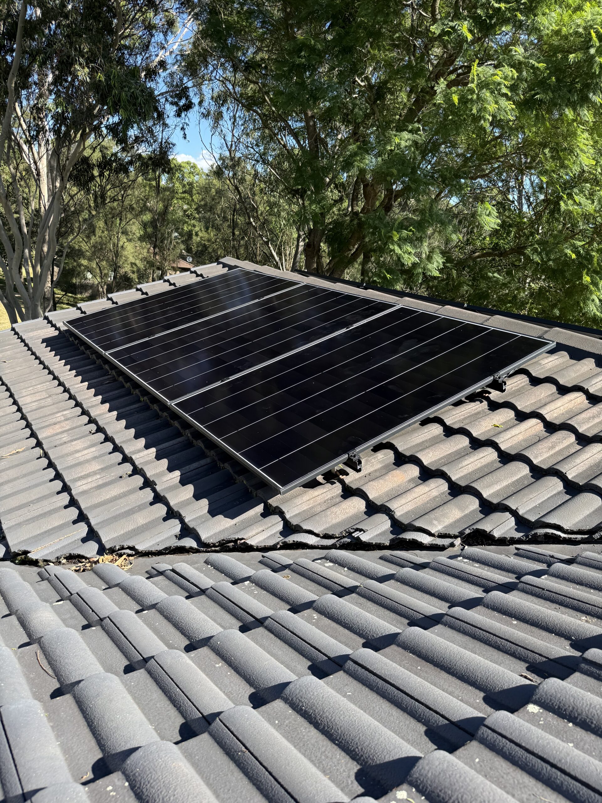 Media 2-5090B812-C032-442C-A076-BB7E710F4E20